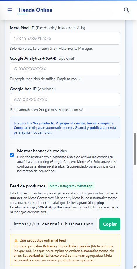 SEO, pixels, feed de productos y emails automáticos de la tienda en BizzKore